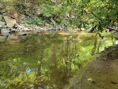 Creekfront Property for Sale in Mouth of Wilson VA - image 24