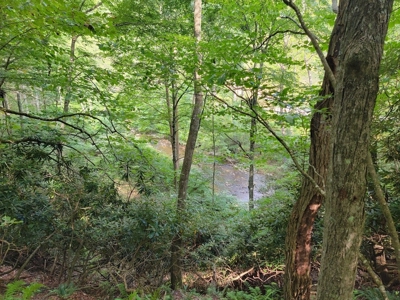 Creekfront Property for Sale in Mouth of Wilson VA - image 10
