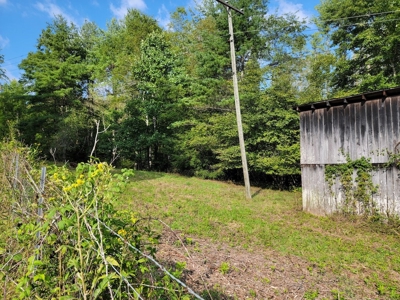 Creekfront Property for Sale in Mouth of Wilson VA - image 3
