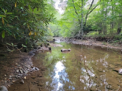 Creekfront Property for Sale in Mouth of Wilson VA - image 26