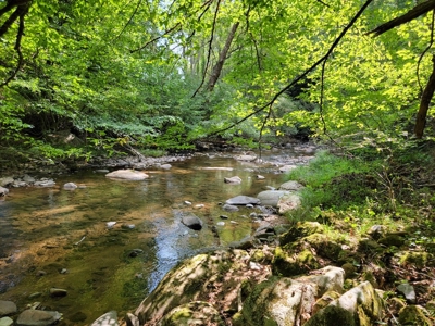 Creekfront Property for Sale in Mouth of Wilson VA - image 17