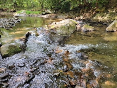 Creekfront Property for Sale in Mouth of Wilson VA - image 25
