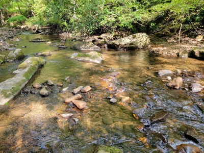 Creekfront Property for Sale in Mouth of Wilson VA - image 19