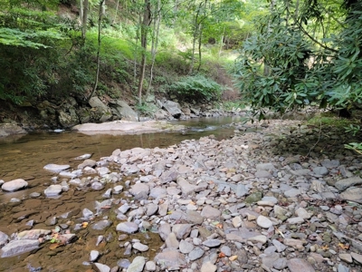Creekfront Property for Sale in Mouth of Wilson VA - image 27
