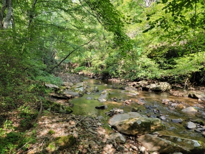 Creekfront Property for Sale in Mouth of Wilson VA - image 16