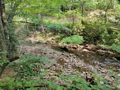 Creekfront Property for Sale in Mouth of Wilson VA - image 14