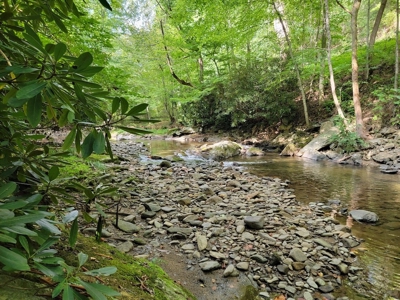 Creekfront Property for Sale in Mouth of Wilson VA - image 23