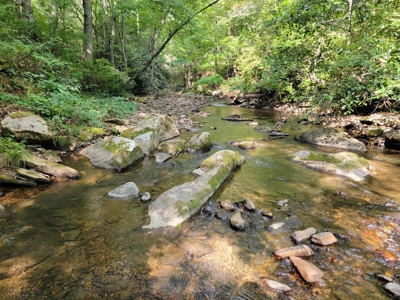 Creekfront Property for Sale in Mouth of Wilson VA - image 20