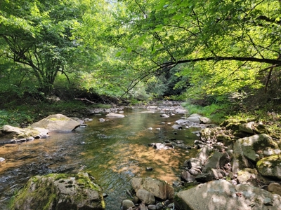 Creekfront Property for Sale in Mouth of Wilson VA - image 18