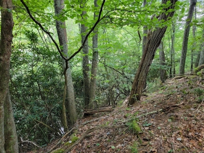 Creekfront Property for Sale in Mouth of Wilson VA - image 9