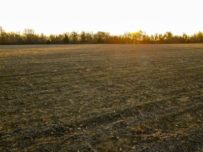 Land for Sale in Barton County, MO - image 8