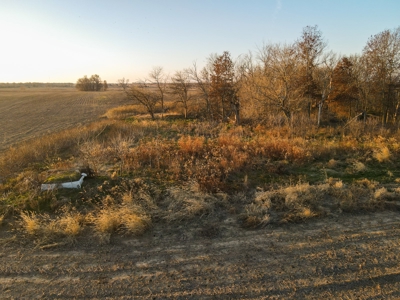 Land for Sale in Barton County, MO - image 14