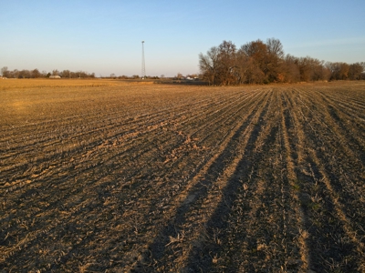 Land for Sale in Barton County, MO - image 13