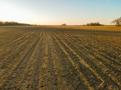 Land for Sale in Barton County, MO - image 7
