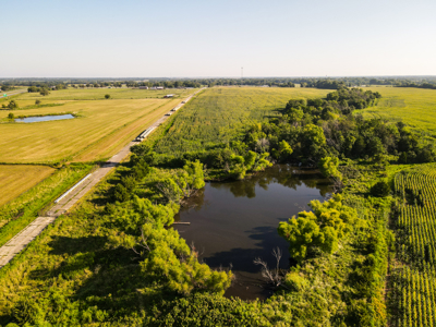 Land for Sale in Barton County, MO - image 14