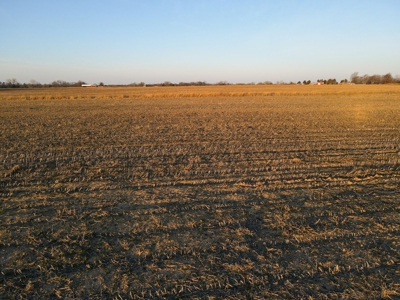 Land for Sale in Barton County, MO - image 12