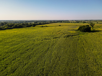 Land for Sale in Barton County, MO - image 9