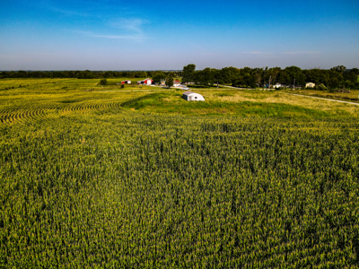 Land for Sale in Barton County, MO - image 6