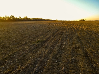Land for Sale in Barton County, MO - image 9