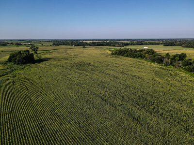 Land for Sale in Barton County, MO - image 8