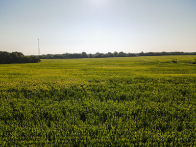 Land for Sale in Barton County, MO - image 16