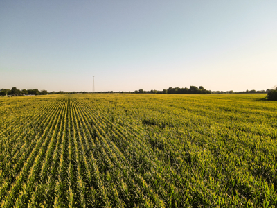 Land for Sale in Barton County, MO - image 15