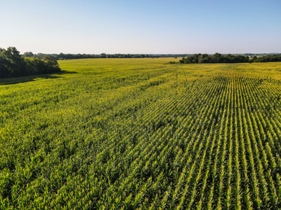 Land for Sale in Barton County, MO - image 7
