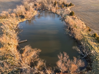 Land for Sale in Barton County, MO - image 19