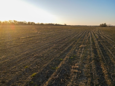 Land for Sale in Barton County, MO - image 10