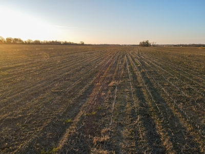 Land for Sale in Barton County, MO - image 11