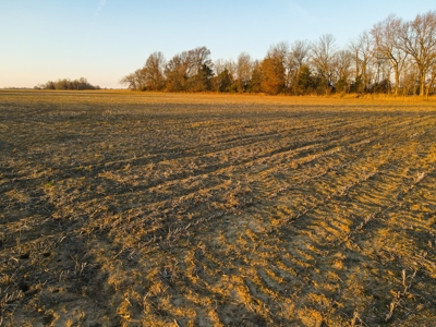 Land for Sale in Barton County, MO - image 6
