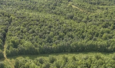 Southern Middle Tennessee Land For Sale - image 3