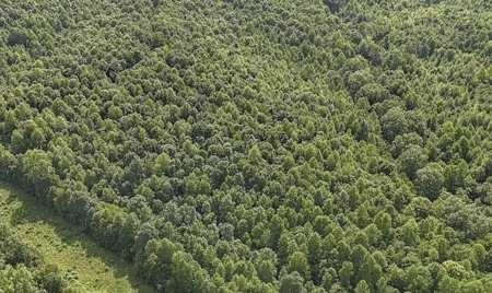 Southern Middle Tennessee Land For Sale - image 1
