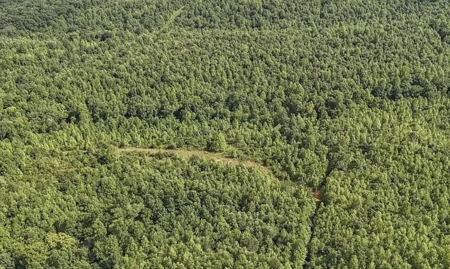 Southern Middle Tennessee Land For Sale - image 4