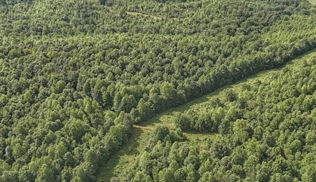 Southern Middle Tennessee Land For Sale - image 2