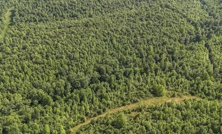 Southern Middle Tennessee Land For Sale - image 6