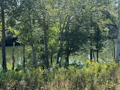 Riverfront Lot in Burkesville, Kentucky - image 9