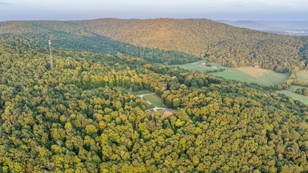 Home in Albany, Kentucky - image 9