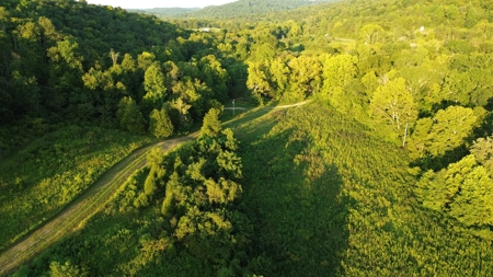 Hunting Land in Monticello, Kentucky - image 9