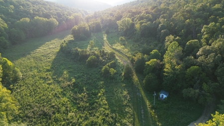 Hunting Land in Monticello, Kentucky - image 2
