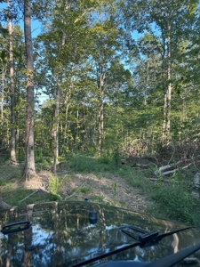 Hunting Land in Monticello, Kentucky - image 31