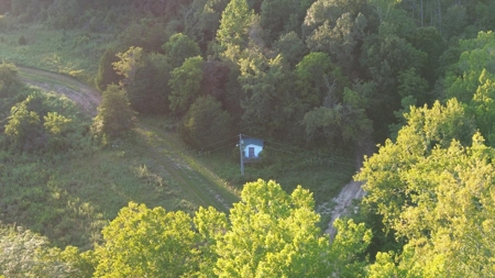 Hunting Land in Monticello, Kentucky - image 11