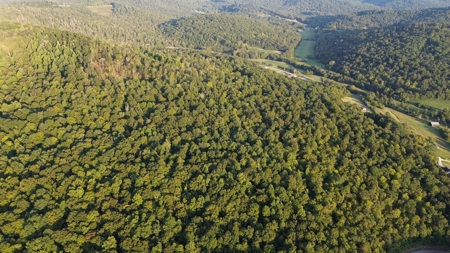 Hunting Land in Monticello, Kentucky - image 27