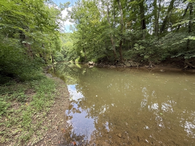 Hunting Land in Monticello, Kentucky - image 9