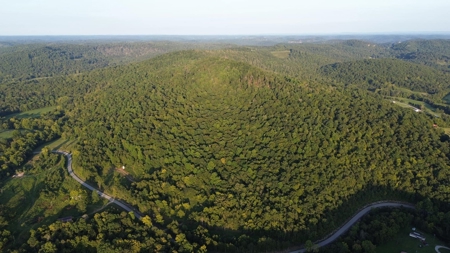 Hunting Land in Monticello, Kentucky - image 19