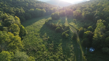 Hunting Land in Monticello, Kentucky - image 10