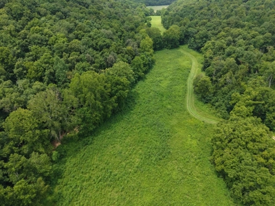 Hunting Land in Monticello, Kentucky - image 4