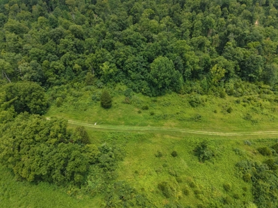 Hunting Land in Monticello, Kentucky - image 5