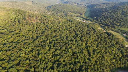 Hunting Land in Monticello, Kentucky - image 17