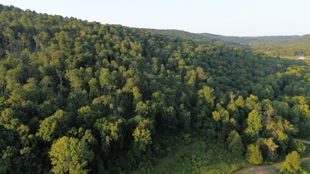 Hunting Land in Monticello, Kentucky - image 14